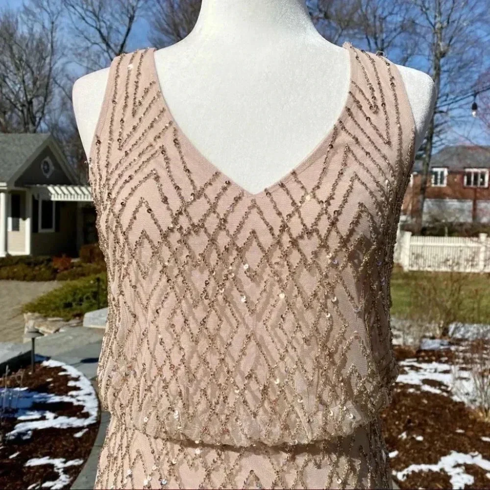 Anthropologie BHLDN Blaise Sequin Embellished Maxi Gown Long Dress in Blush